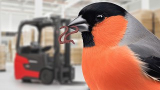 Early Bird Aktion Linde MH Österreich Miete