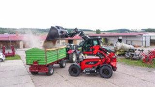 Linde YH60 kippt Weizen in einen Traktoranhänger